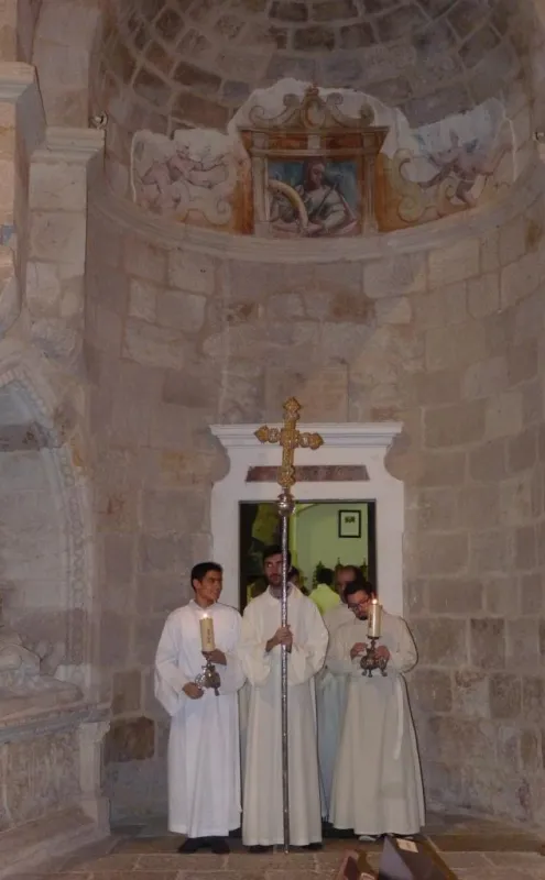 Día de San Atilano 2015