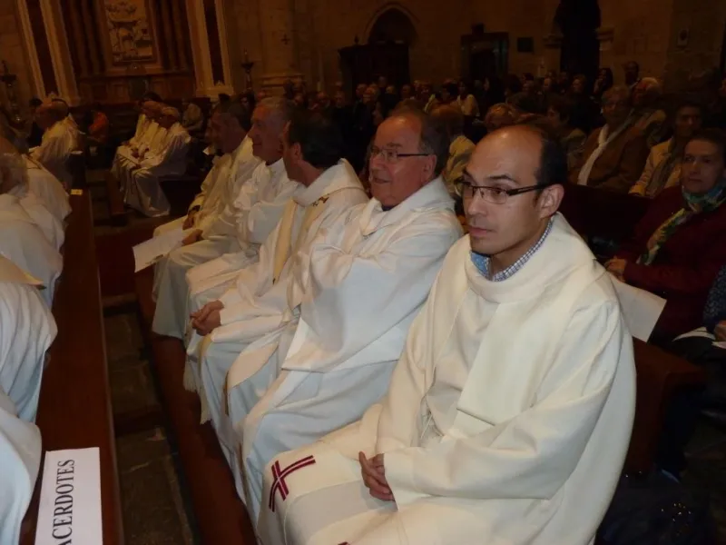 Día de San Atilano 2015