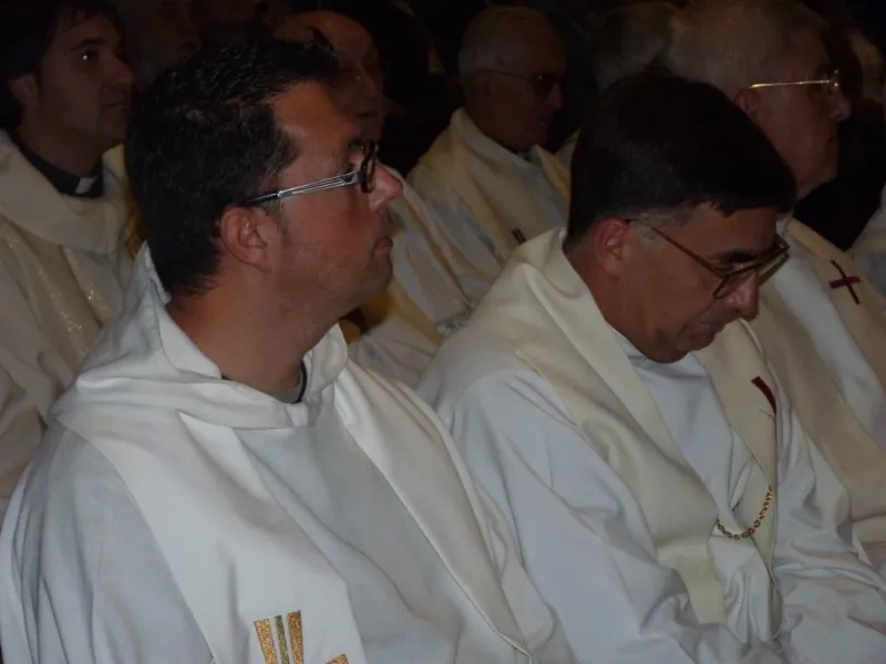 Día de San Atilano 2015