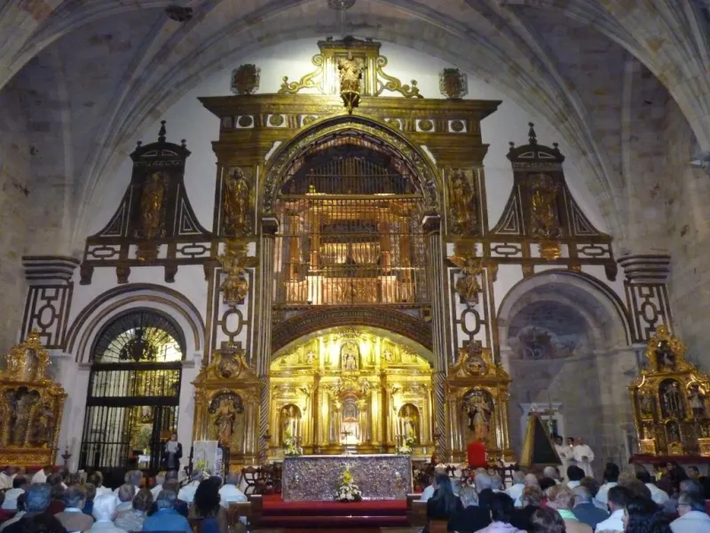 Día de San Atilano 2015