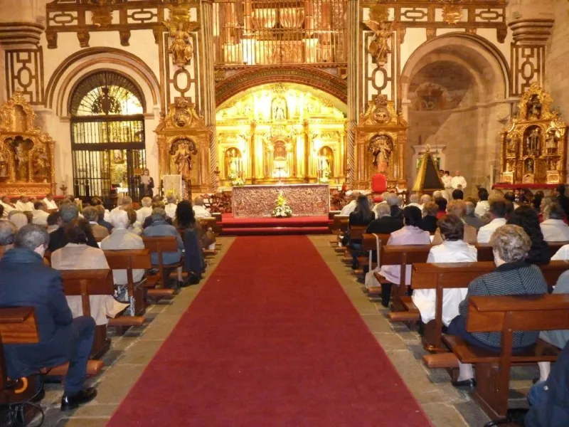 Día de San Atilano 2015