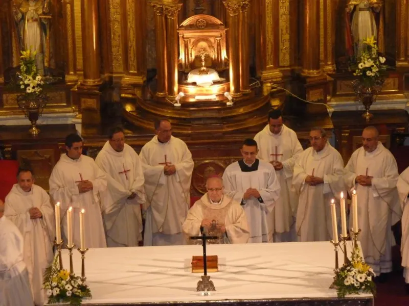 Día de San Atilano 2015