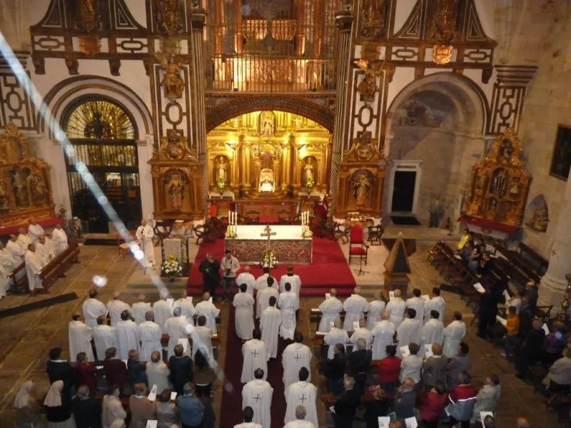 Día de San Atilano 2015