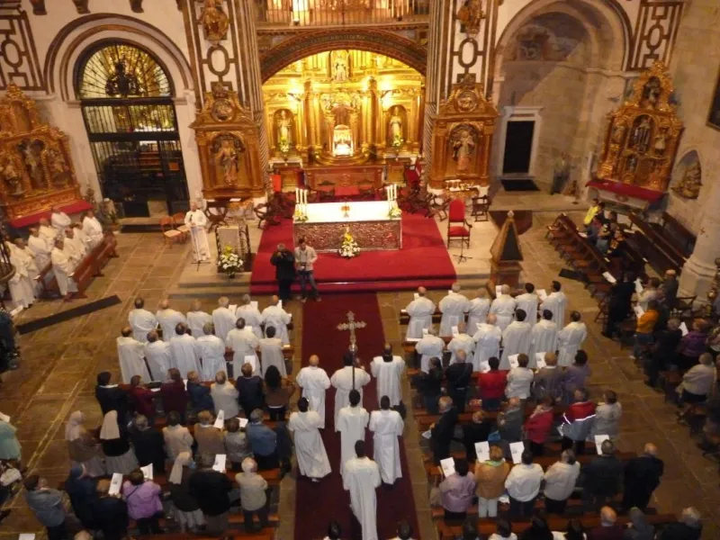 Día de San Atilano 2015