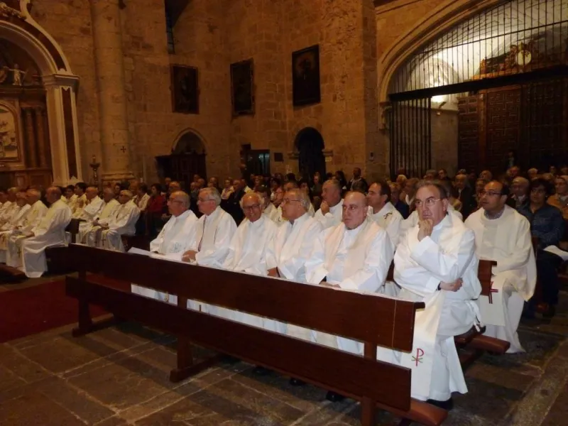 Día de San Atilano 2015