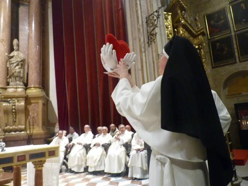 Jubileo y Clausura del Año de la Vida Consagrada