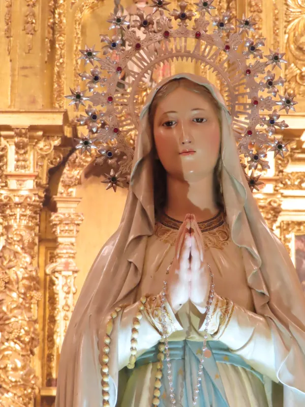 La Diócesis de Zamora honra a Ntra. Señora de Lourdes en el Dia Mundial del Enfermo