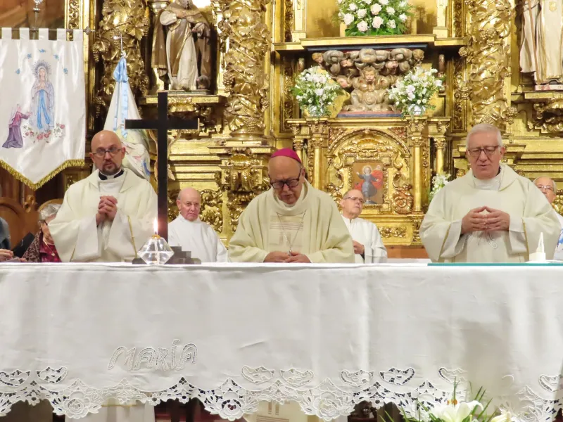 La Diócesis de Zamora honra a Ntra. Señora de Lourdes en el Dia Mundial del Enfermo