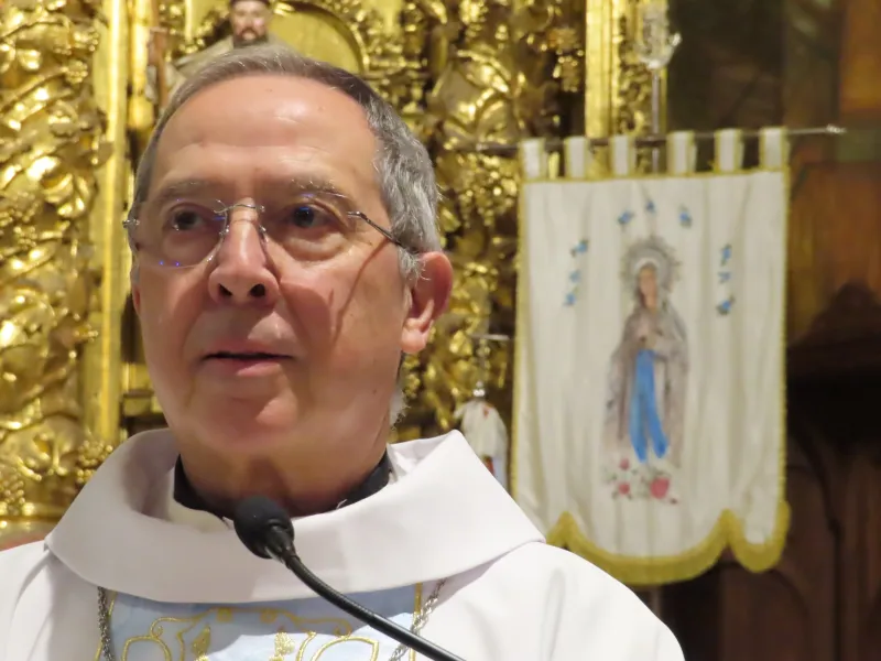 La Diócesis de Zamora honra a Ntra. Señora de Lourdes en el Dia Mundial del Enfermo