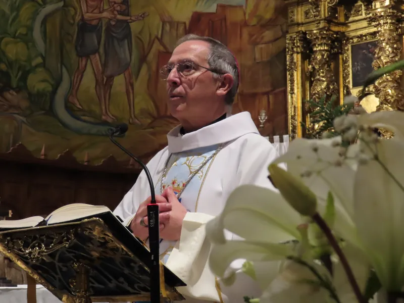 La Diócesis de Zamora honra a Ntra. Señora de Lourdes en el Dia Mundial del Enfermo