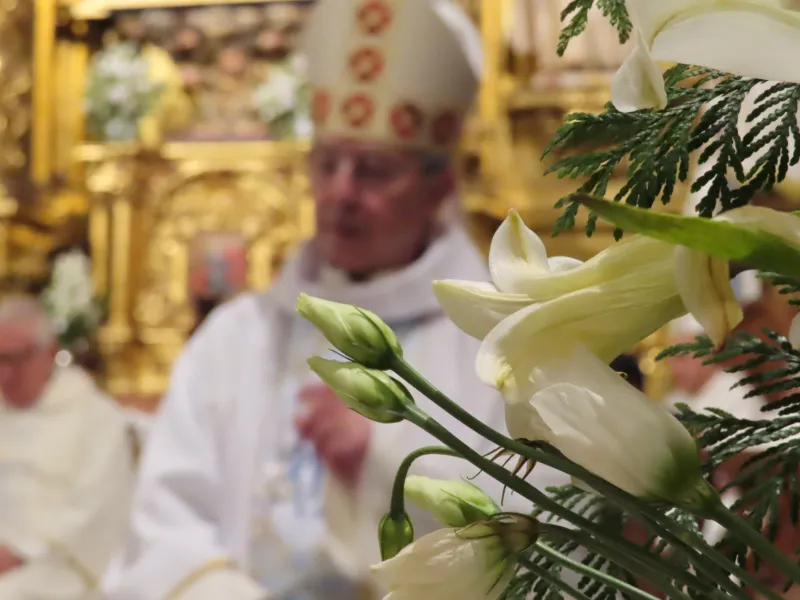La Diócesis de Zamora honra a Ntra. Señora de Lourdes en el Dia Mundial del Enfermo