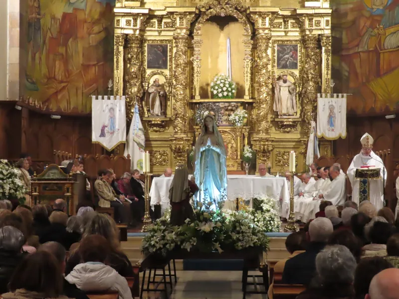 La Diócesis de Zamora honra a Ntra. Señora de Lourdes en el Dia Mundial del Enfermo