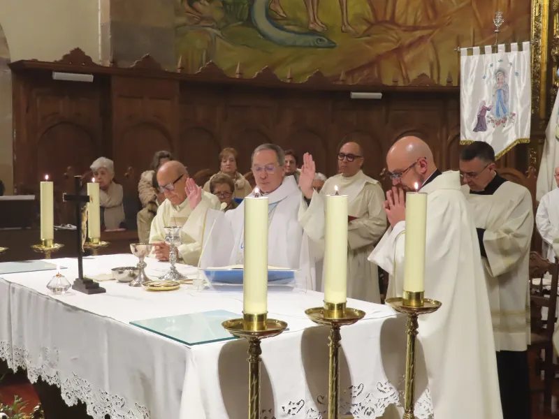 La Diócesis de Zamora honra a Ntra. Señora de Lourdes en el Dia Mundial del Enfermo