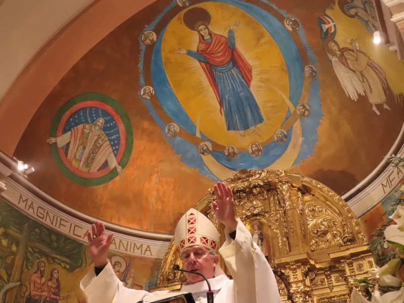 La Diócesis de Zamora honra a Ntra. Señora de Lourdes en el Dia Mundial del Enfermo
