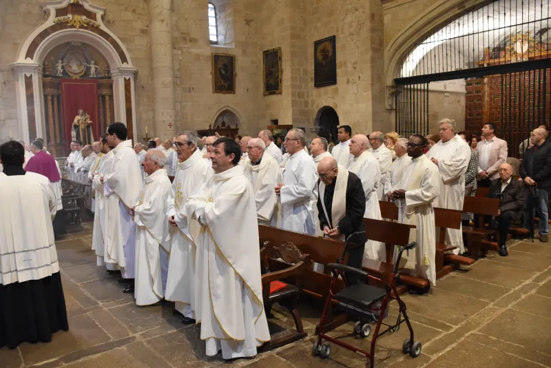 Zamora celebra San Juan de Ávila agradeciendo la vida de sus sacerdotes