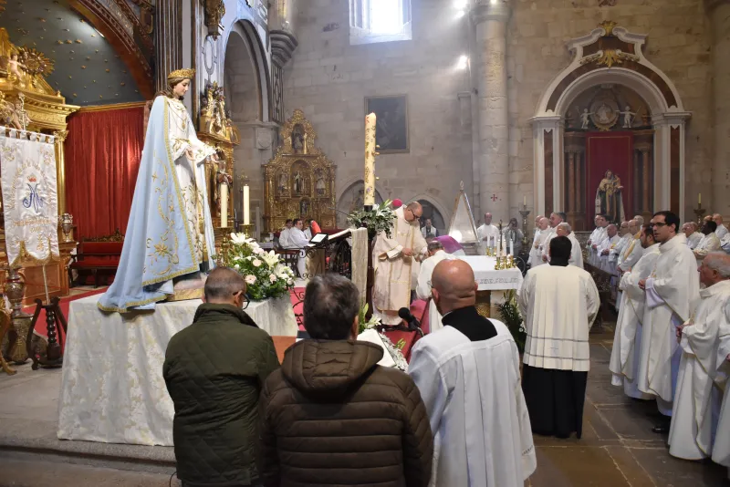Zamora celebra San Juan de Ávila agradeciendo la vida de sus sacerdotes
