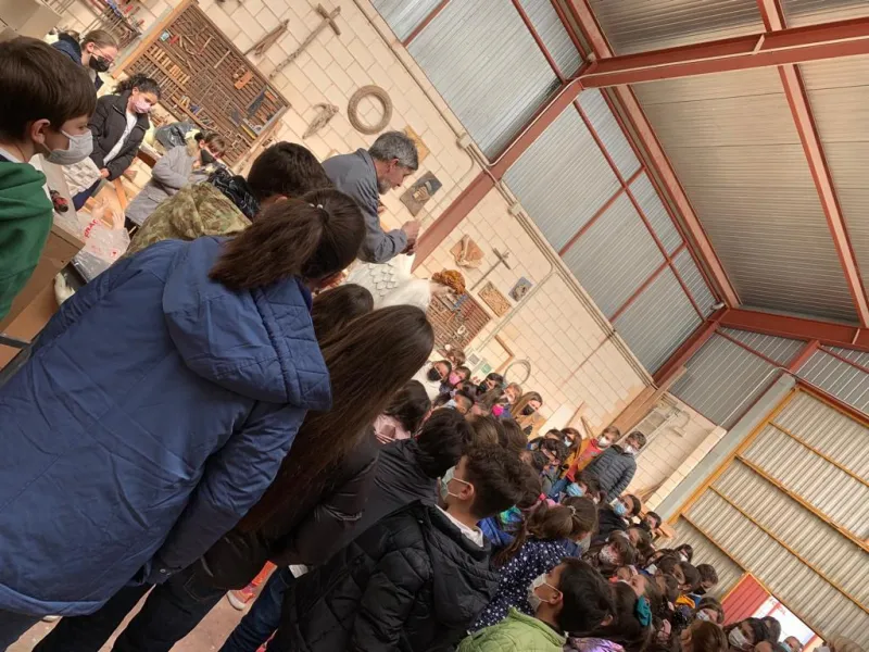 Un día de catequesis por Zamora