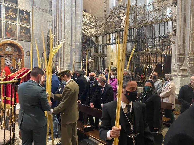 Bendición de palmas y misa pontifical en la catedral