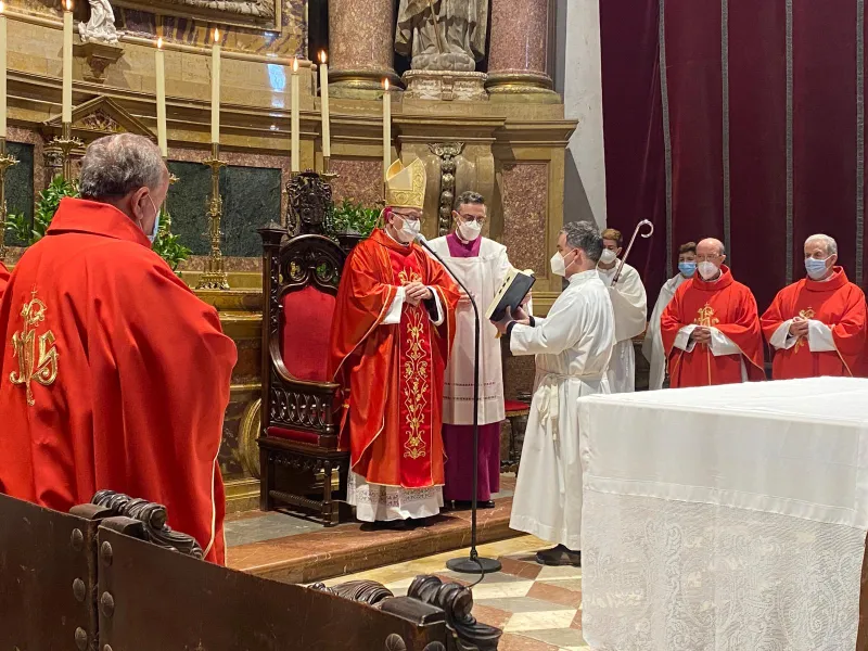 Bendición de palmas y misa pontifical en la catedral