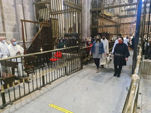 “Transparentad el espíritu de Santidad y ofreced, sencillamente, lo que somos”