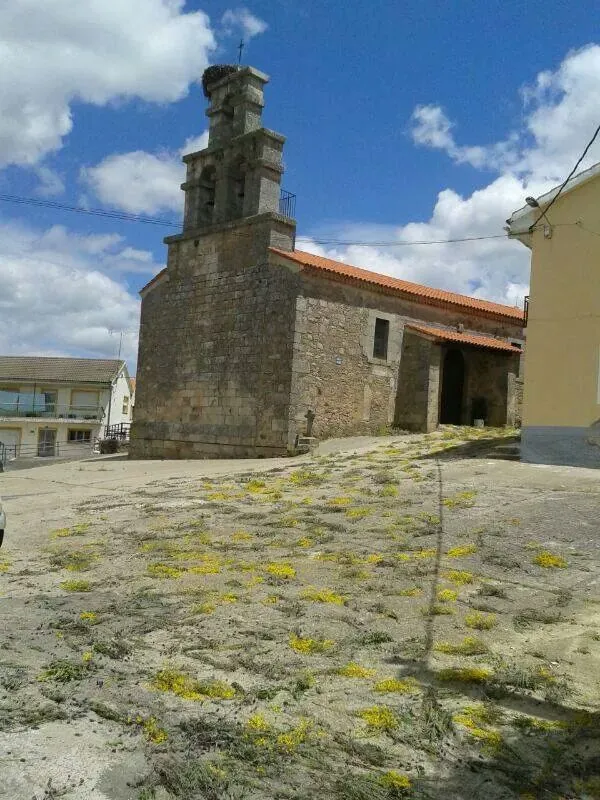 Visita pastoral a Carbajosa