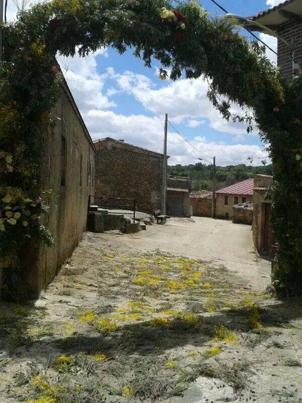 Visita pastoral a Carbajosa