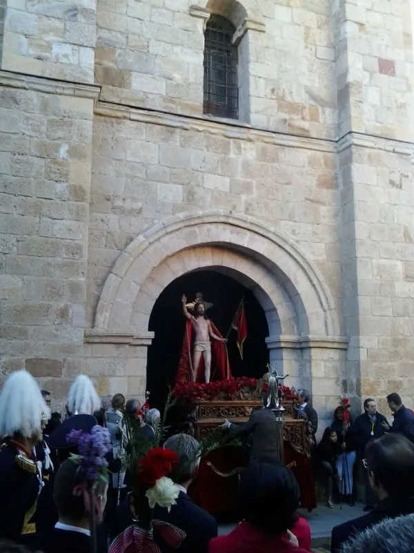 Zamora
