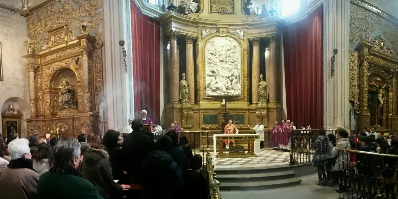 Peregrinación a la Catedral