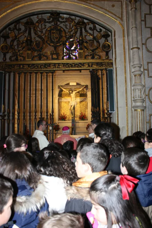 Peregrinación a la Catedral