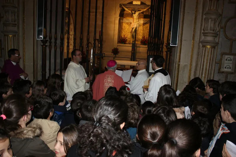 Peregrinación a la Catedral