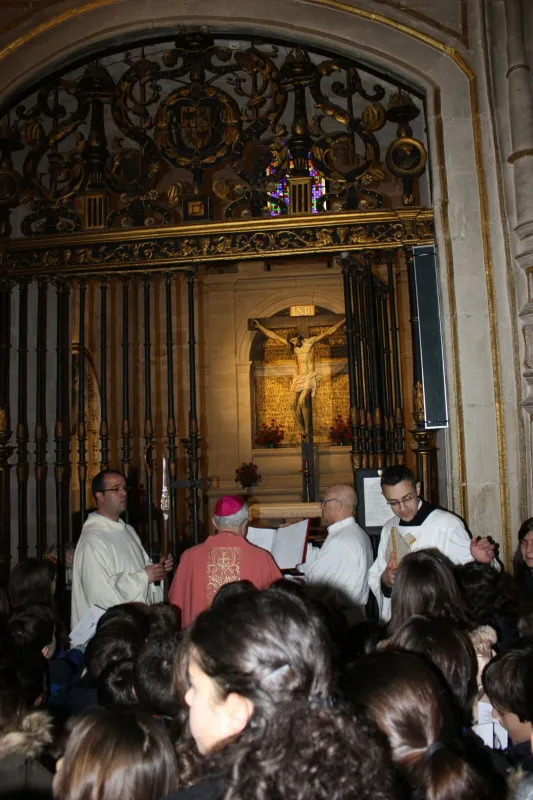 Peregrinación a la Catedral
