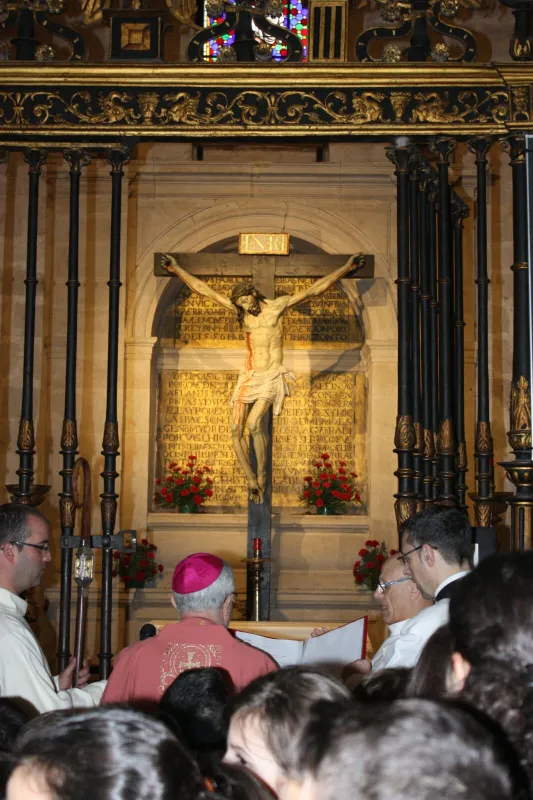 Peregrinación a la Catedral