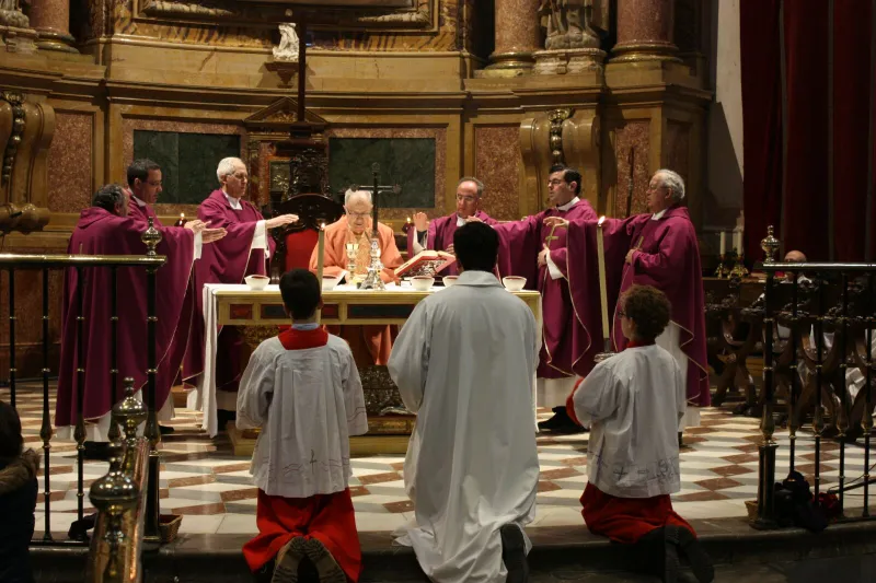 Peregrinación a la Catedral