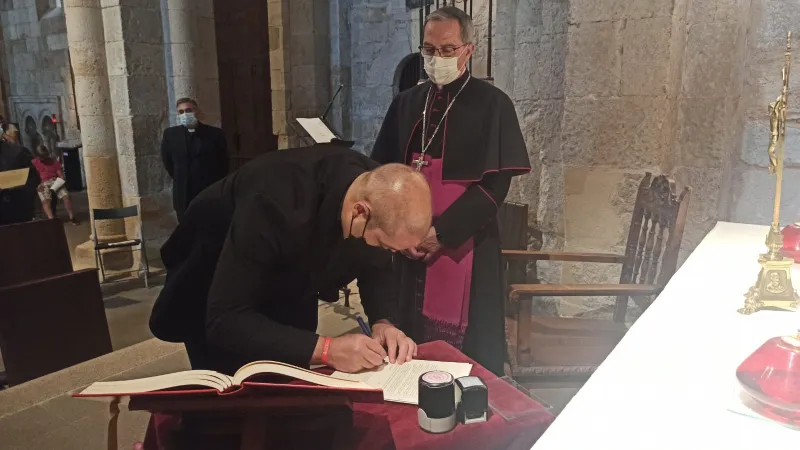 Provicario, vicario judicial, moderador de curia